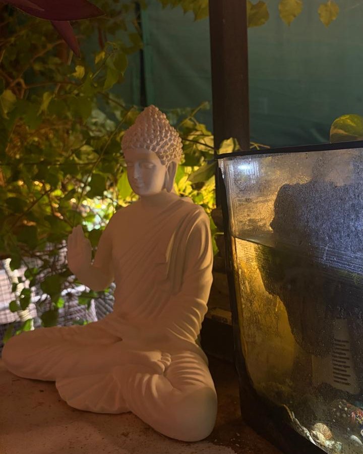 A Buddha statue among plants in a quiet corner of the cafe